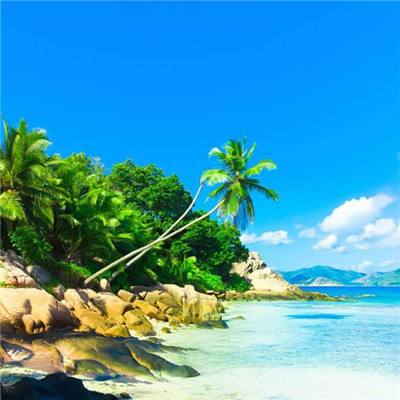 kaiyun平台手机网页版